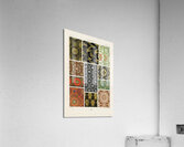 Japanese pattern. 1888 edition Lornement Polychrome by Albert Racine 1825–1893. Acrylic Print