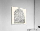 Anatolian Asia Minor pattern. 1888 edition Lornement Polychrome by Albert Racine 1825–1893. Acrylic Print