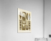 18th Century pattern. 1888 edition Lornement Polychrome by Albert Racine 1825–1893. Acrylic Print