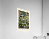 Japan pattern. 1888 edition Lornement Polychrome by Albert Racine 1825–1893. Acrylic Print