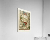 18th Century pattern. 1888 edition Lornement Polychrome by Albert Racine 1825–1893. Acrylic Print