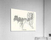 Chinese decorative element. 1888 edition Lornement Polychrome by Albert Racine 1825–1893. Impression acrylique