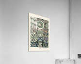 18th Century pattern Lornement Polychrome 1888 by Albert Racinet 1825-1893. 1888 edition. Acrylic Print