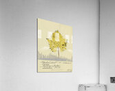 ‘Denket nicht an dummes Zeug …’ 1931  My Pictures Become Wilder and Wilder By John Elsas Acrylic Print