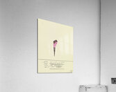 ‘Hier ist zu sehen das Sorgenkind …’ 1932  My Pictures Become Wilder and Wilder By John Elsas Acrylic Print