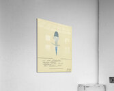 ‘Ist das Wunder kommbereit …’ 1932  My Pictures Become Wilder and Wilder By John Elsas Acrylic Print