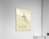 ‘Ich ich herrsche weit und breit …’ 1931  My Pictures Become Wilder and Wilder By John Elsas‘Ich ich herrsche weit und breit …’ 1931  My Pictures Become Wilder and Wilder By John Elsas Acrylic Print