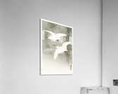 Little Egrets in flight 1925 - 1936 by Ohara Koson 1877-1945. Acrylic Print