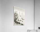 Ducks in the water 1931 by Ohara Koson 1877-1945. Acrylic Print