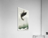 Leaping carp 1900 - 1930 by Ohara Koson 1877-1945. Acrylic Print