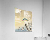 Kingfisher in the snow 1925-1936 by Ohara Koson 1877-1945 Acrylic Print