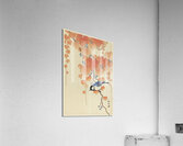 Great tit on paulownia branch 1925 - 1936 by Ohara Koson 1877-1945. Acrylic Print