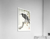 A crow and the full moon 1900-1930 by Ohara Koson 1877-1945. Acrylic Print