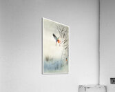 Kingfisher hunting for fish in the water 1900 by Ohara Koson 1877-1945. Acrylic Print