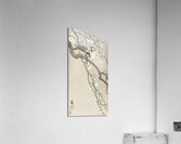 Tits on Cherry Branch 1900-1910 by Ohara Koson 1877-1945 Acrylic Print