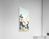 Peony with butterfly 1925 - 1936 by Ohara Koson 1877-1945. Acrylic Print