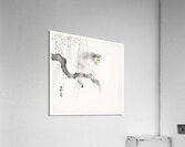 Monkey on a tree branch 1900-1930 by Ohara Koson 1877-1945. Acrylic Print