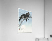 Two crows on a branch 1927 by Ohara Koson 1877-1945. Acrylic Print