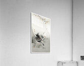 Three pigeons 1900-1930 by Ohara Koson 1877-1945. Acrylic Print