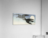 Crows at full moon 1925 - 1936 by Ohara Koson 1877-1945. Acrylic Print