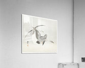 Two colt geese in flight 1900 - 1930 by Ohara Koson 1877-1945. Acrylic Print