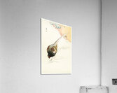 Pheasant couple in the snow 1900 - 1945 by Ohara Koson 1877-1945. Acrylic Print