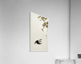 Bird in downward flight 1900 - 1930 by Ohara Koson 1877-1945. Acrylic Print