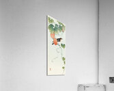 Songbird in cucumber plant 1925 - 1936 by Ohara Koson 1877-1945. Acrylic Print