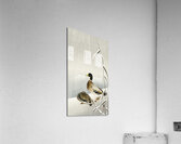 Two ducks on snowy reed 1900 - 1930 by Ohara Koson 1877-1945. Acrylic Print