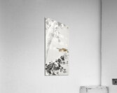 Indian quack on snowy tree branch 1900 - 1930 by Ohara Koson 1877-1945. Acrylic Print