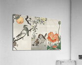 Ring sparrows and insect 1900 - 1936 by Ohara Koson 1877-1945. Acrylic Print