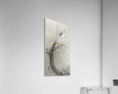 Kwak on branch 1900 - 1936 by Ohara Koson 1877-1945. Acrylic Print