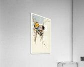 Pheasant couple and plum blossom 1900 - 1930 by Ohara Koson 1877-1945. Acrylic Print