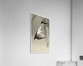 Three red-tailed swallows in dive 1900-1930 by Ohara Koson 1877-1945. Acrylic Print