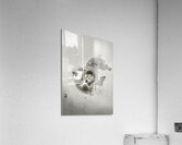 Two playing monkeys 1900 - 1930 by Ohara Koson 1877-1945. Acrylic Print