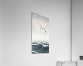 Three seagulls 1900 - 1936 by Ohara Koson 1877-1945. Acrylic Print