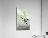 Great geese in flight 1925 - 1936 by Ohara Koson 1877-1945. Acrylic Print