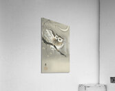 Long-eared owl in ginkgo 1900 - 1930 by Ohara Koson 1877-1945. Acrylic Print