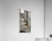 Snipe in the rain 1900 - 1930 by Ohara Koson 1877-1945. Acrylic Print