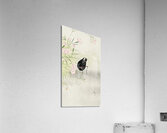 Moorhen at flowering plant 1900 - 1936 by Ohara Koson 1877-1945. Acrylic Print