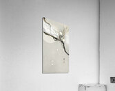 Plum blossom and full moon 1900 - 1936 by Ohara Koson 1877-1945. Acrylic Print