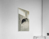 Moorhills between reeds 1900 - 1930 by Ohara Koson 1877-1945. Acrylic Print