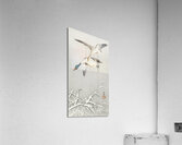 Two wild ducks in flight 1900 - 1936 by Ohara Koson 1877-1945. Acrylic Print