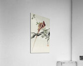 Copper pheasant 1900 - 1930 by Ohara Koson 1877-1945. Acrylic Print