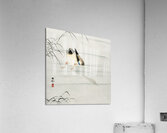 Mallard the head under water 1900 - 1930 by Ohara Koson 1877-1945. Acrylic Print