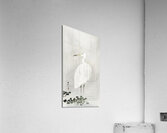 Egret in rain 1900 - 1930 by Ohara Koson 1877-1945. Acrylic Print