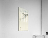 Carp 1900 - 1936 by Ohara Koson 1877-1945. Acrylic Print