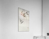 Starlings in the rain 1900 - 1930 by Ohara Koson 1877-1945. Acrylic Print