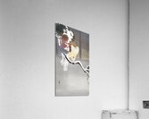 Hawk with sparrow 1900 - 1930 by Ohara Koson 1877-1945. Acrylic Print