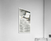 Geese on the shore 1900 - 1930 by Ohara Koson 1877-1945. Acrylic Print